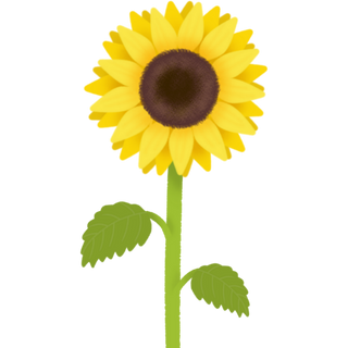 Giáo viên Đặng Trần Lan 2