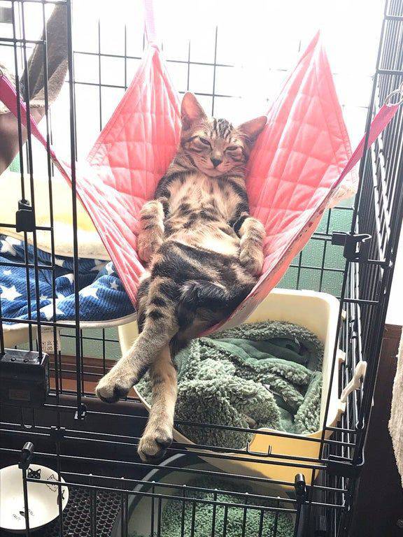 ảnh của Chị Giảng viên môn Sinh học 1