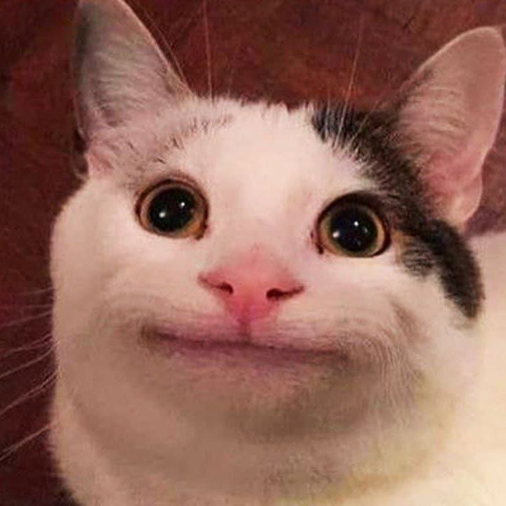 Giáo Viên Tiếng Anh Dạy Online Tại Nhà