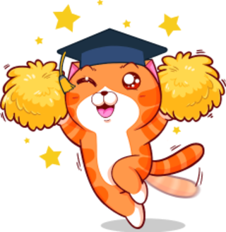 Giáo viên VHEdtech